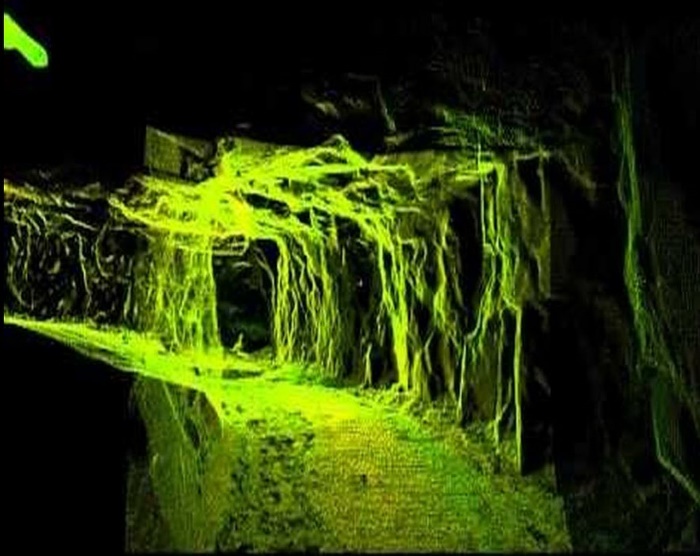 Tạp chí Trắc địa - Bản đồ