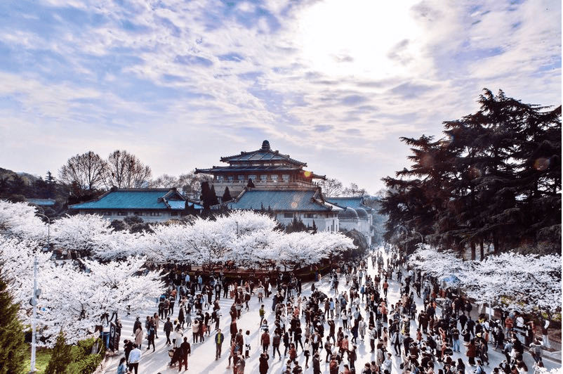 Tạp chí Trắc địa - Bản đồ